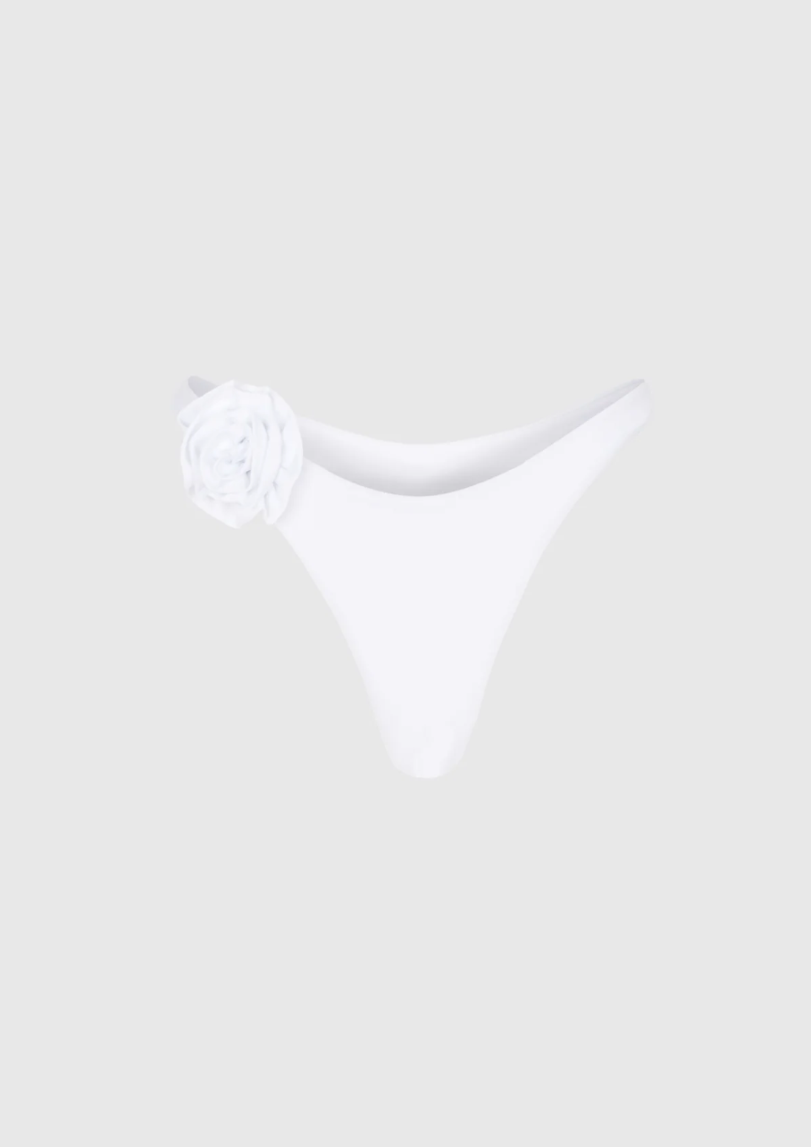 BELLY - Bottom